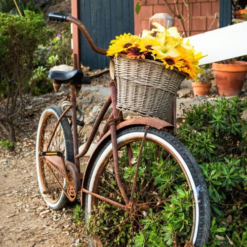 Direction le marché, bouquet de tournesols dans un panier